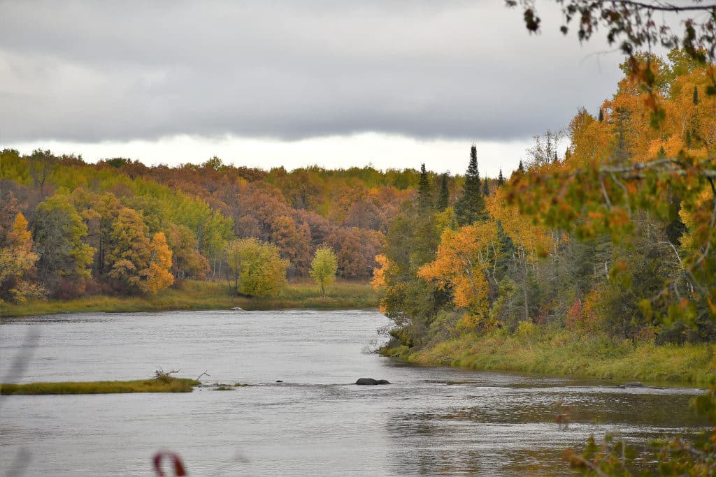 Calm fall river scene