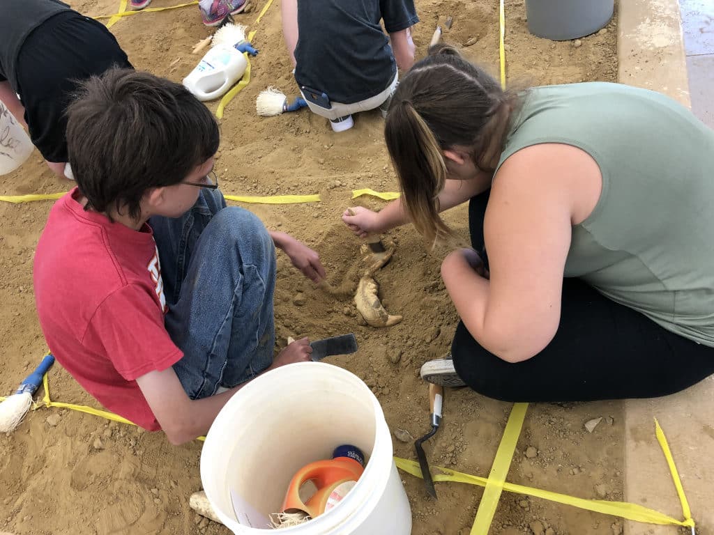 Advanced Paleontologist Excavation Program 3